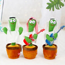 Cactus Bailarín Recargable ¡Diversión sin limites!